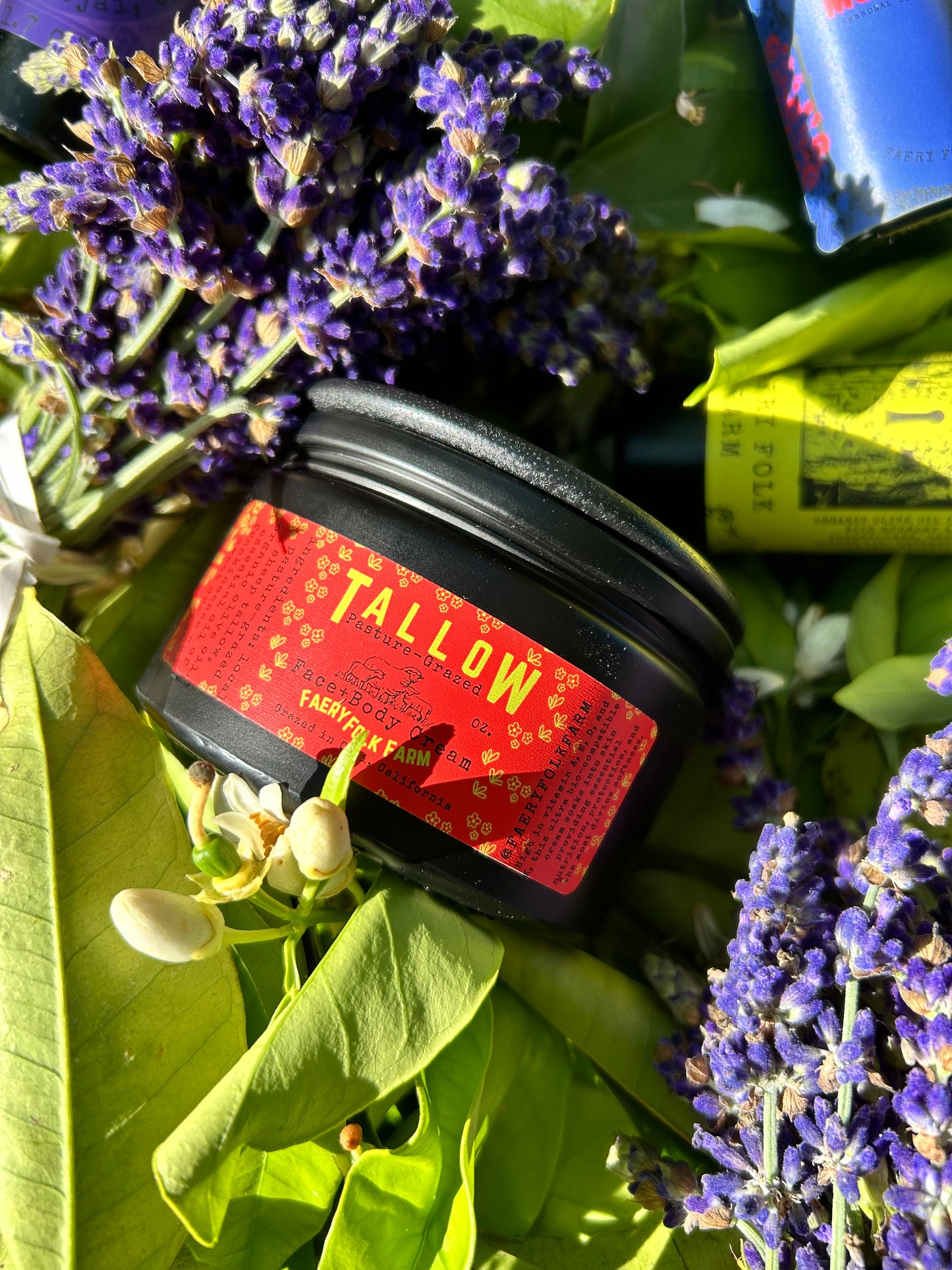 Pasture-Raised Sheep Tallow Cream